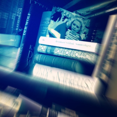 Kreatives Chaos: Im Bücherregal von Mareike Köster stapeln sich Krimis und Klassiker. Foto: Mareike Köster